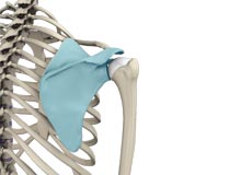 Snapping Scapula